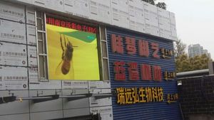 南京派福頸腰痛專科診所LED顯示屏